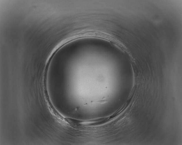 X0000054421530200507291236