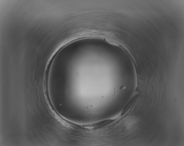 X0000054421531200507291236