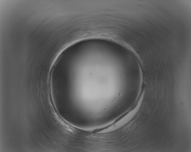 X0000054421532200507291236