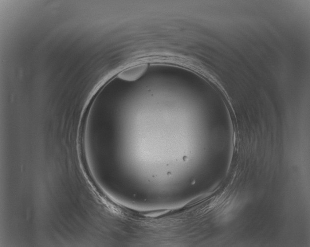 X0000054421533200507291236