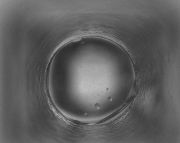 X0000054421534200507291236