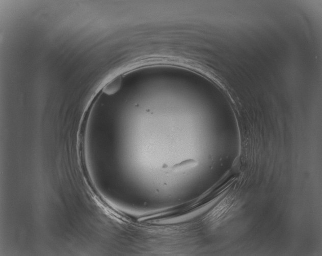 X0000054421535200507291236