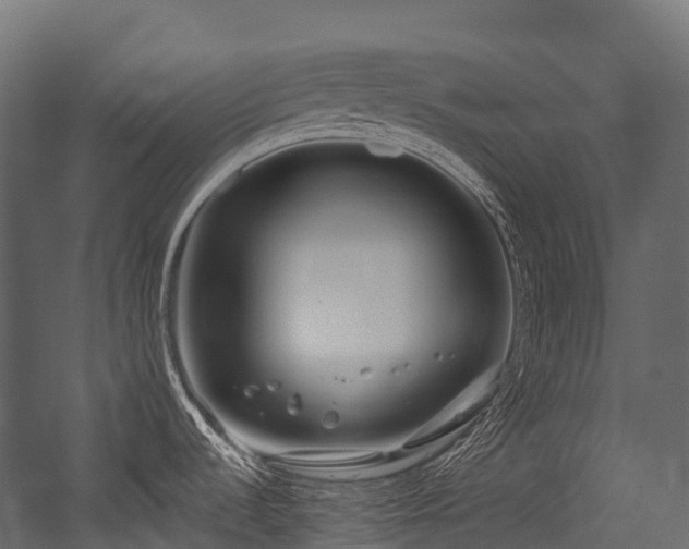 X0000054421536200507291236