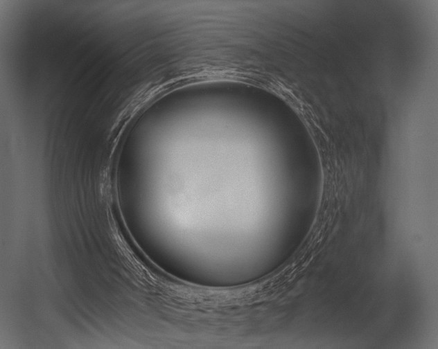 X0000054420002200508011410