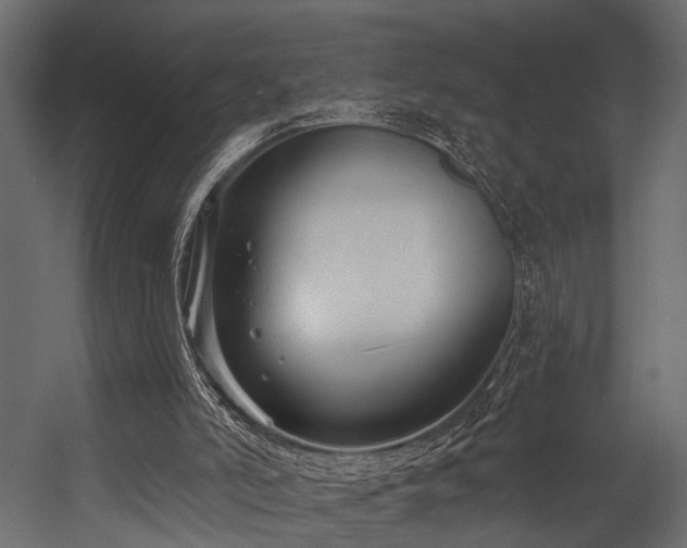 X0000054420006200508011409