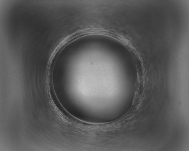 X0000054420007200508011409