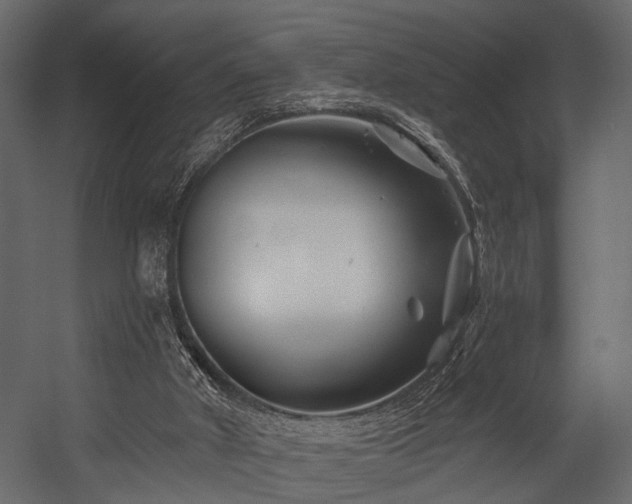 X0000054420010200508011409