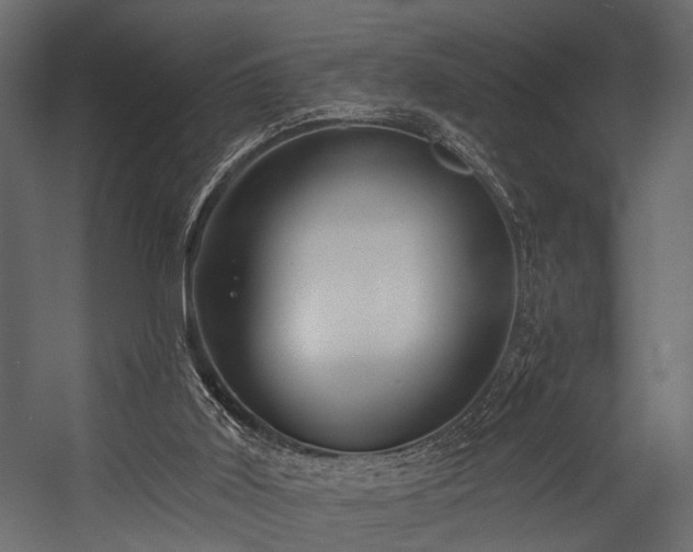 X0000054420011200508011409