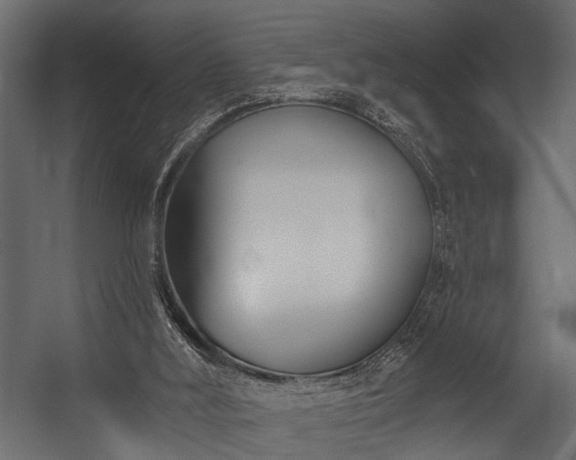 X0000054420012200508011409