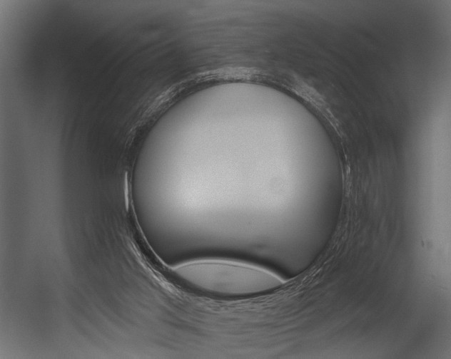 X0000054420013200508011409