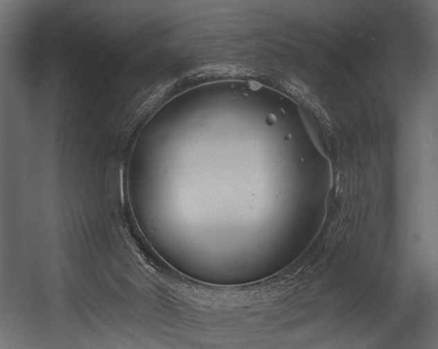 X0000054420014200508011409