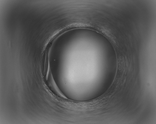 X0000054420015200508011409