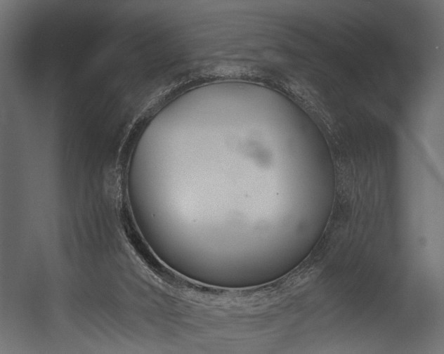 X0000054420016200508011409