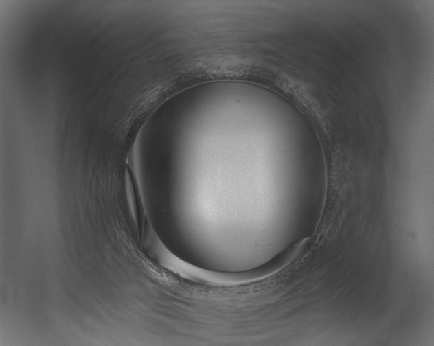 X0000054420017200508011409