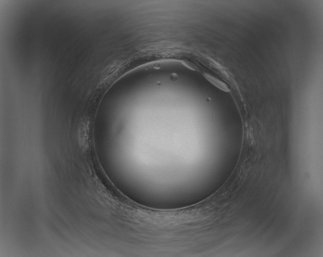 X0000054420018200508011409