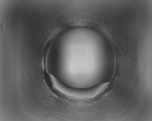 X0000054420020200508011409