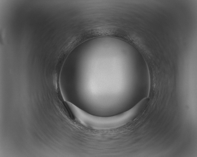 X0000054420021200508011409