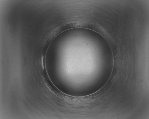 X0000054420022200508011409