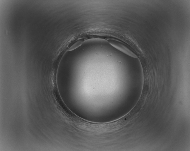 X0000054420023200508011409