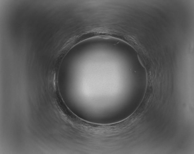 X0000054420024200508011409