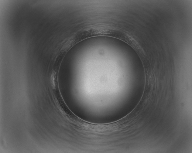 X0000054420026200508011409