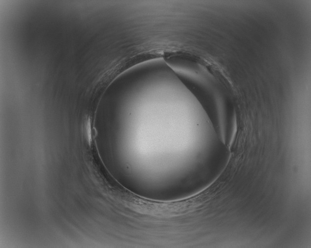 X0000054420027200508011409