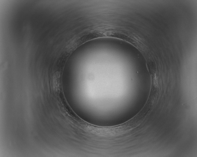 X0000054420030200508011409