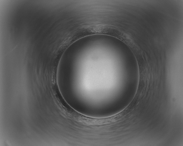 X0000054420031200508011409