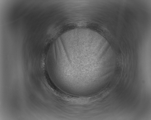 X0000054420032200508011409