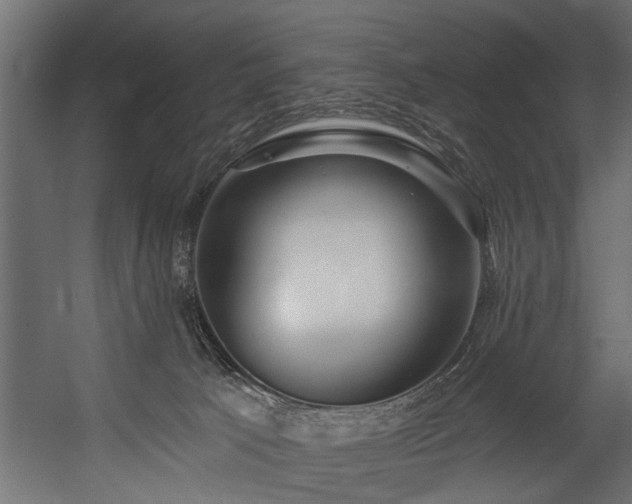 X0000054420033200508011409