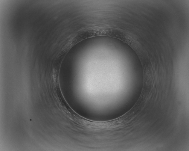 X0000054420034200508011409