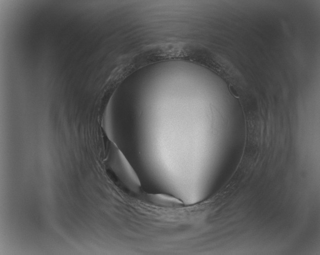 X0000054420035200508011409