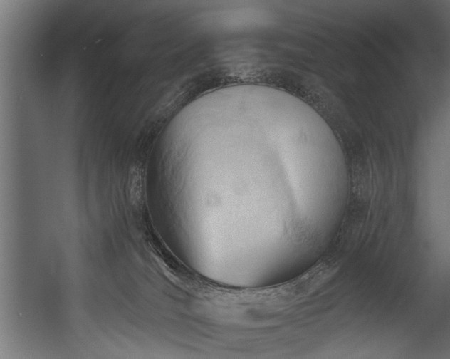 X0000054420036200508011409