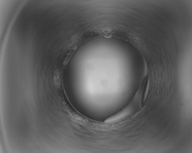 X0000054420037200508011409