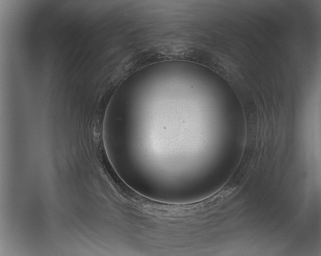 X0000054420040200508011409