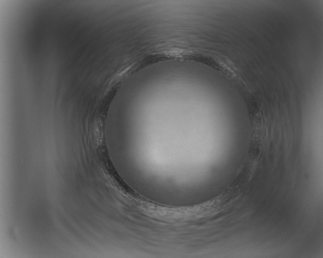 X0000054420043200508011409