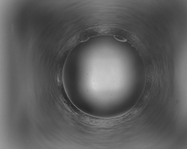 X0000054420044200508011409