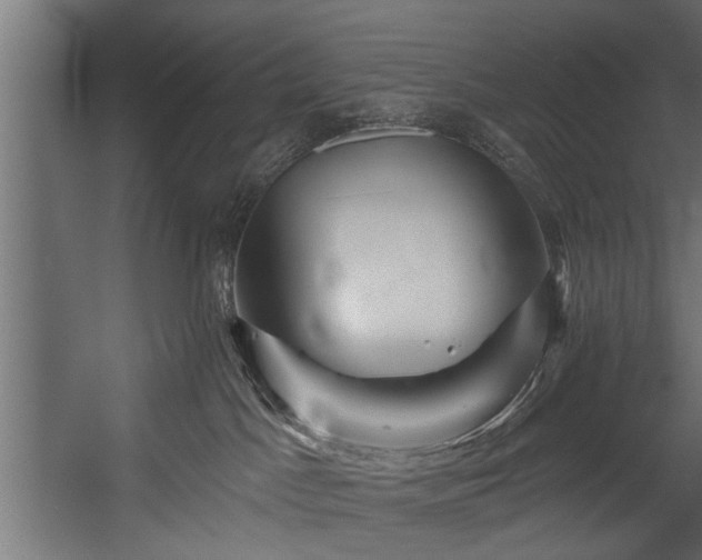 X0000054420045200508011409