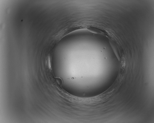 X0000054420046200508011409