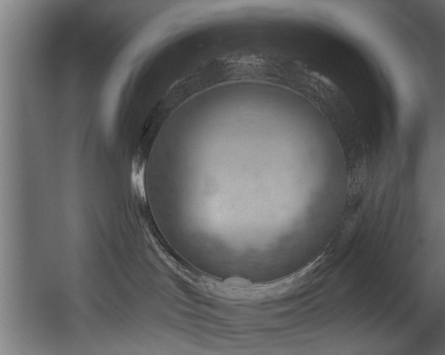 X0000054420047200508011409