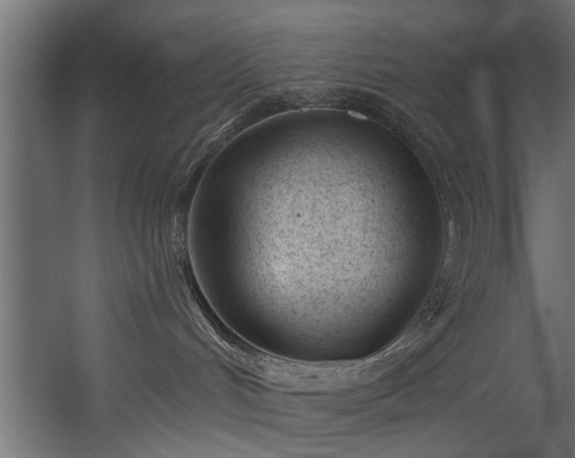 X0000054420048200508011409