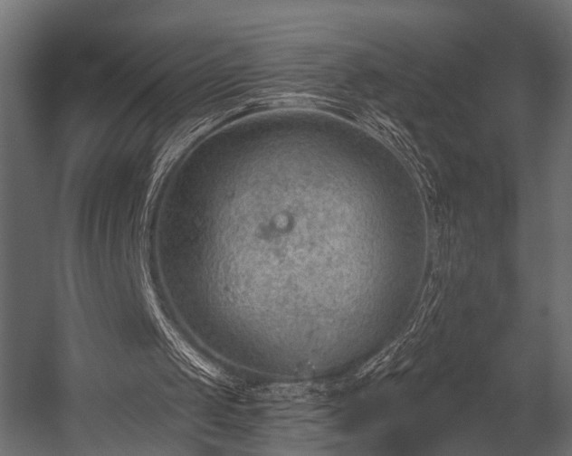 X0000054420049200508011408