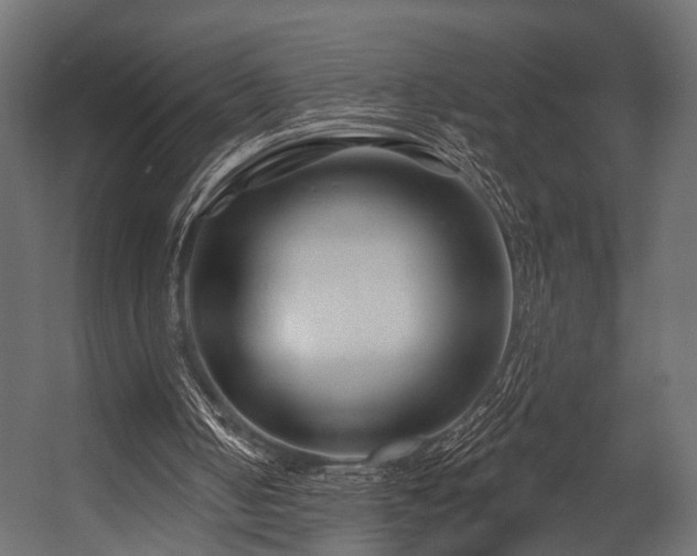 X0000054420050200508011408