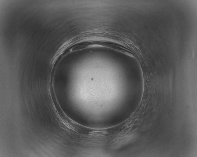 X0000054420051200508011408