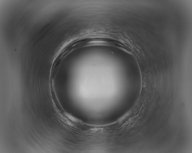 X0000054420052200508011408