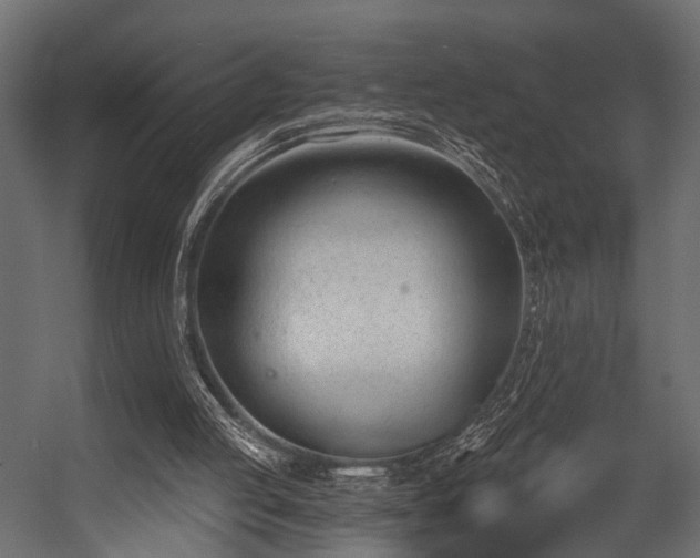 X0000054420053200508011408