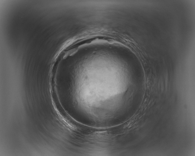 X0000054420054200508011408