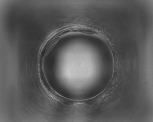 X0000054420055200508011408