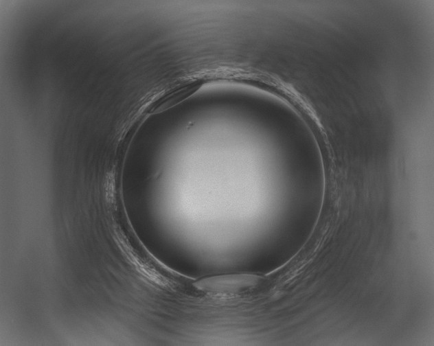 X0000054420057200508011408