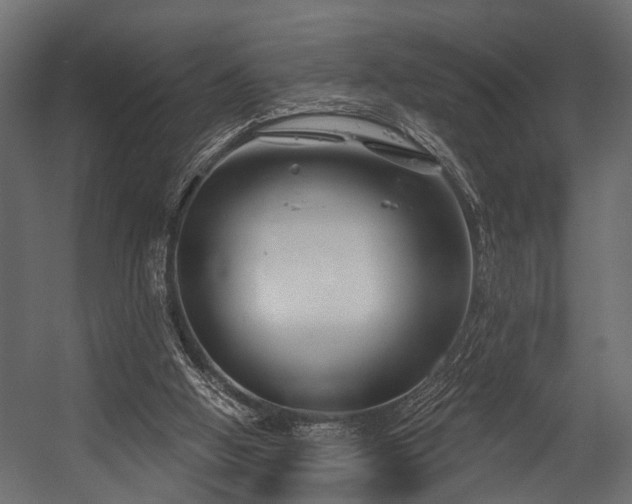 X0000054420058200508011408